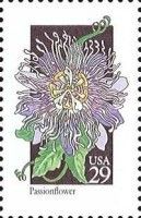 Passion Flower (Passiflora sp.)