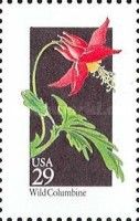 Wild Columbine (Aquilegia canadensis)