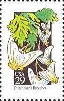Dutchman's Breeches (Dicentra cucullaria)