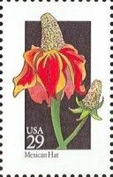 Mexican Hat (Ratibida columnifera)