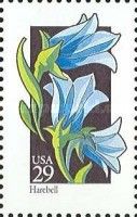 Harebell (Campanula rotundifolia)