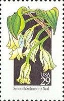 Smooth Solomon's Seal (Polygonatum biflorum)