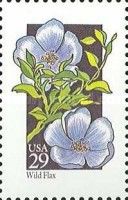 Wild Flax (Linum usitatissimum)