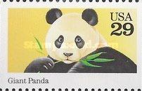 Giant Panda (Ailuropoda melanoleuca)