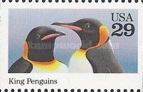 King Penguin (Aptenodytes patagonicus)