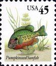 Pumpkinseed Sunfish (Lepomis gibbosus)