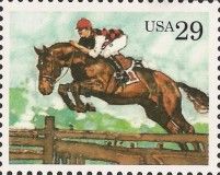 Steeplechase, Horse (Equus ferus caballus)