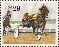 Harness Racing, Horse (Equus ferus caballus)