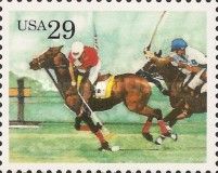 Polo, Horse (Equus ferus caballus)