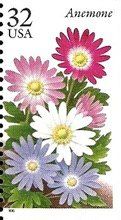 Anemone