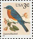 Eastern Bluebird (Sialia sialis)