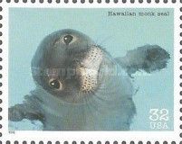 Hawaiian Monk Seal (Monachus schauinslandi)