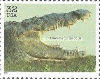 American Crocodile (Crocodylus acutus)