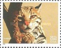 Ocelot (Leopardus pardalis)