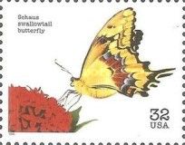 Schaus' Swallowtail (Papilio aristodemus ssp. ponceanus)