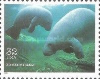 Florida Manatee (Trichechus manatus)