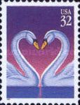 Mute Swan (Cygnus olor)