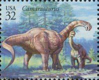 Camarasaurus