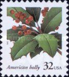American Holly