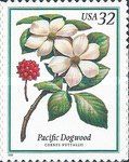 Pacific Dogwood (Cornus suttallii)