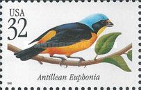 Antillean Euphonia (Chlorophonia musica)