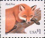 Red Fox (Vulpes vulpes)