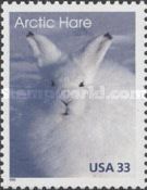 Arctic Hare (Lepus arcticus)