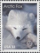 Arctic Fox (Alopex lagopus)