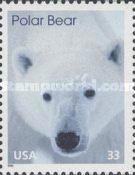 Polar Bear (Ursus maritimus)