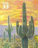 Saguaro Cactus (Carnegiea gigantea)