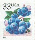 Fruit Berries: Blueberries