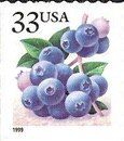 Fruit Berries:Blueberries