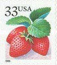Fruit Berries: Strawberries