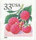 Fruit Berries: Raspberries