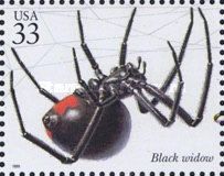 Southern Black Widow (Latrodectus mactans)