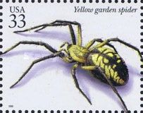 Black and Yellow Garden Spider (Argiope aurantia)