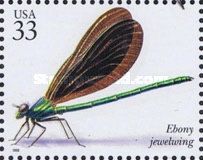 Ebony Jewelwing (Calopteryx maculata)