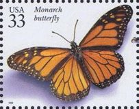 Monarch (Danaus plexippus)