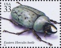 Eastern Hercules Beetle (Dynastes tityus)