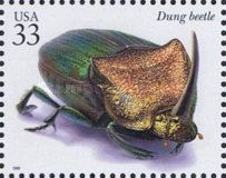 Rainbow Scarab Beetle (Phanaeus vindex)