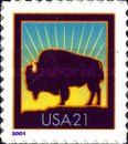 American Bison (Bos bison)