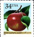 Apple - Die Cut 11¼ on 2, 3 or 4 sides