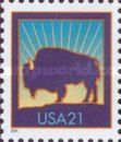 American Bison (Bos bison)