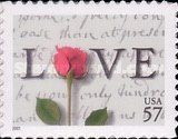 Rose and Love Letter