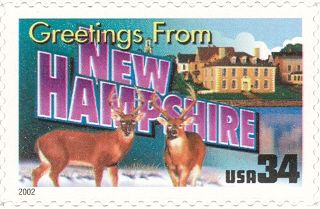Greetings from New Hampshire, White-tailed Deer