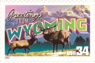 Greetings from Wyoming, Wapiti (Cervus canadensis)