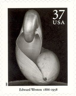Two Shells