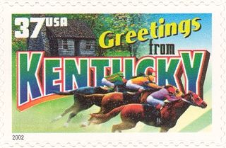 Greetings from Kentucky, Horse (Equus ferus caballus)