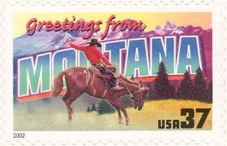 Greetings from Montana, Horse (Equus ferus caballus)