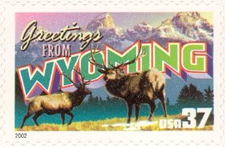 Wapiti (Cervus canadensis), Rocky Mountains